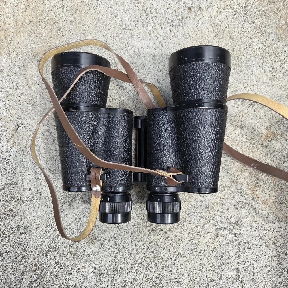 Daylite 10x50 Binoculars 262ft/1000yds Case &‎ Strap Vintage Porro Prism Japan